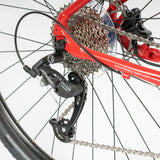 Beany ZERO 29, 19" frame