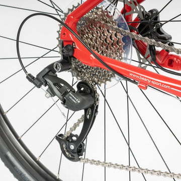 Beany ZERO 29, 19" frame