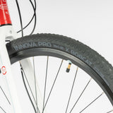 Beany ZERO 29, 19" frame
