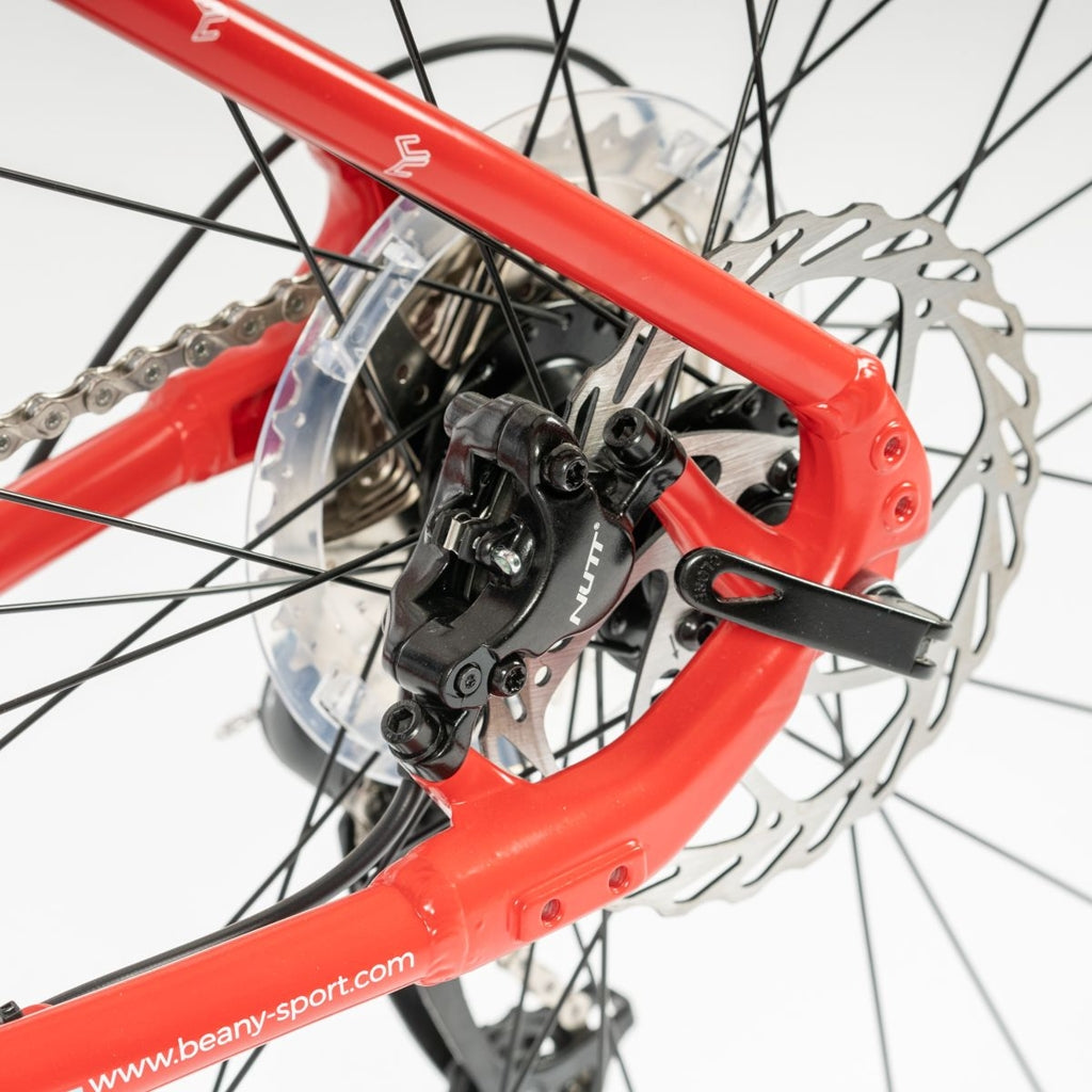 Beany ZERO 29, 19" frame