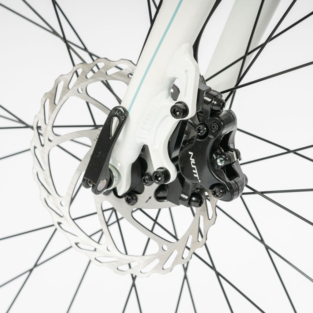 Beany ZERO 29, 19" frame