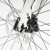 Beany ZERO 29, 19" frame