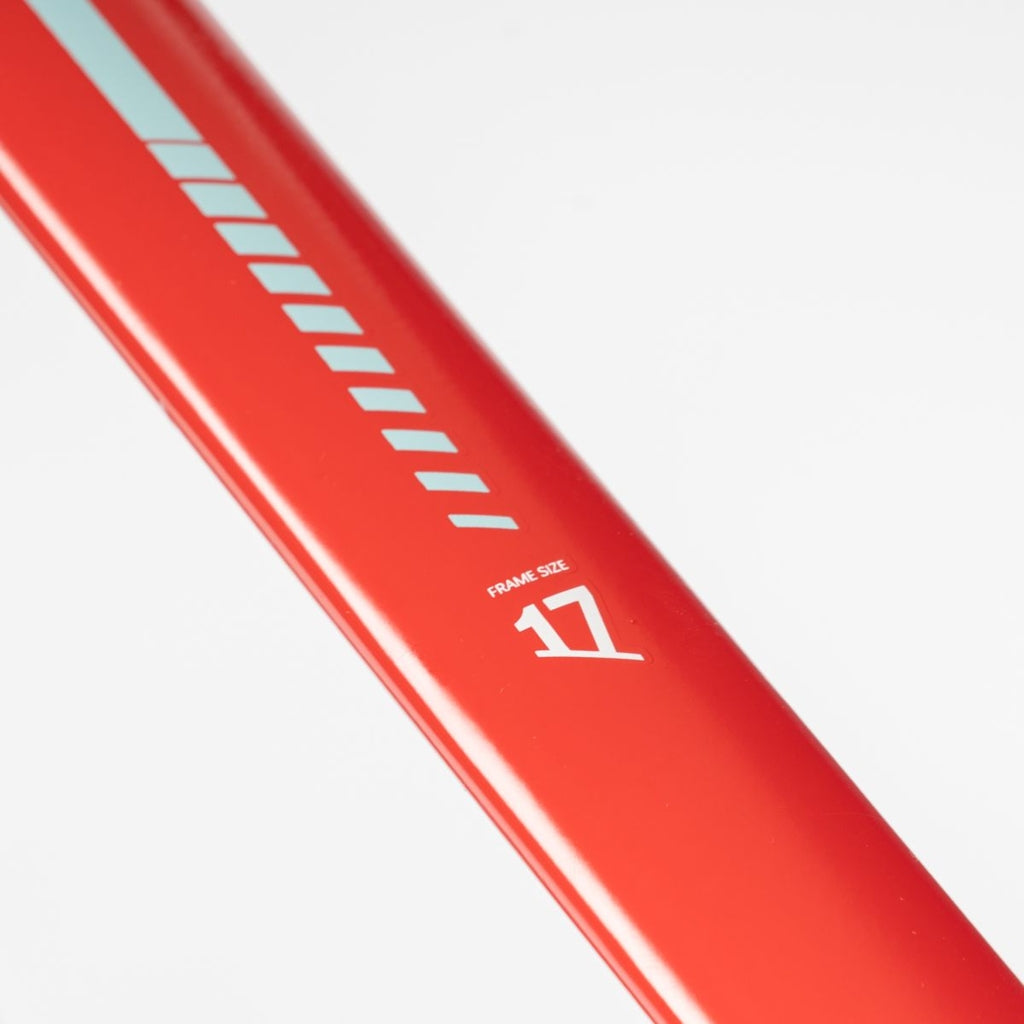 Beany ZERO 29, 19" frame