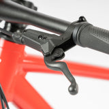 Beany ZERO 29, 19" frame