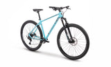 Beany BLASTER 29, 17" frame