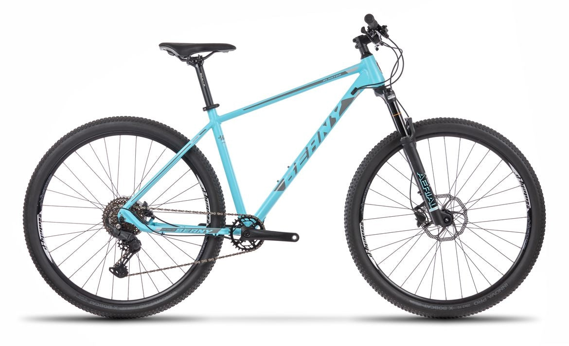 Beany BLASTER 29, 17" frame