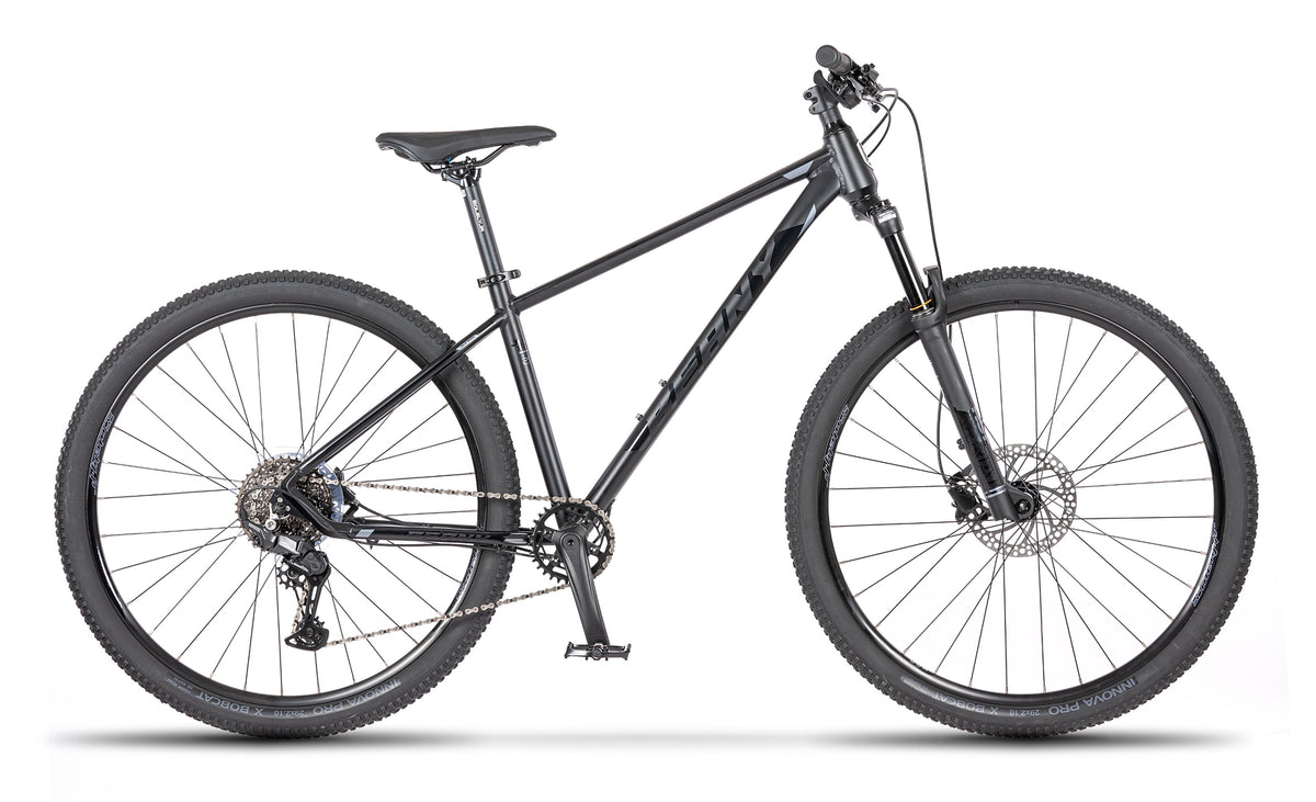Beany BLASTER 29, 17" frame