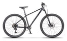 Beany BLASTER 29, 17" frame