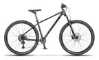Beany BLASTER 29, 17" frame