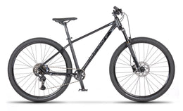 Beany BLASTER 29, 19" frame