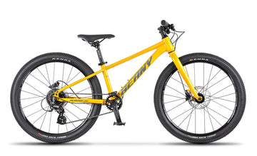 Beany BLASTER XC 24