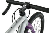 Rondo RUUT CF2 -2025 - Simple Bike Store