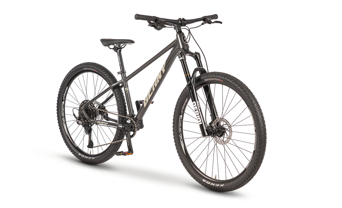 Beany BLASTER 27.5
