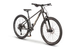 Beany BLASTER 27.5