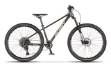 Beany BLASTER 27.5