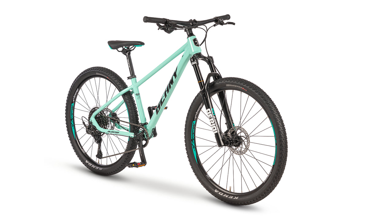 Beany BLASTER 27.5