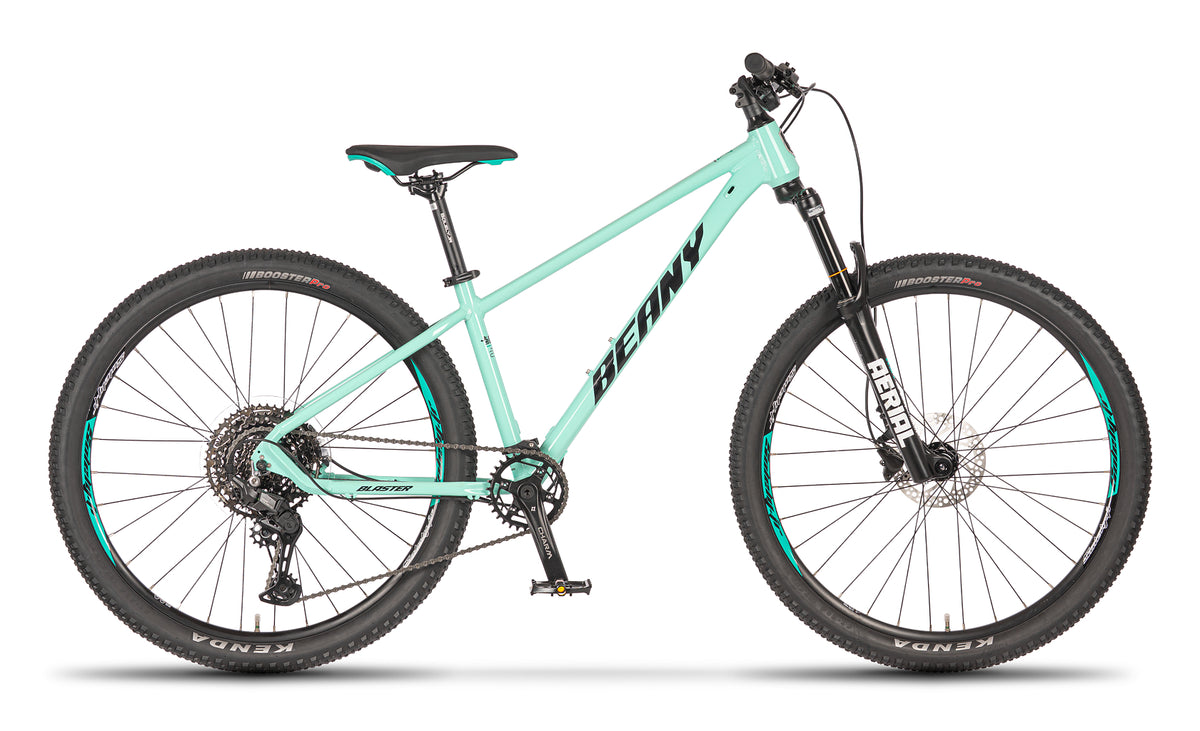 Beany BLASTER 27.5