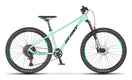 Beany BLASTER 27.5