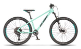 Beany BLASTER 27.5