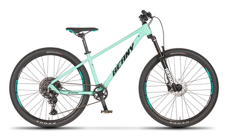 Beany BLASTER 27.5