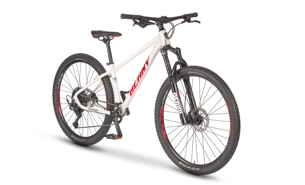 Beany BLASTER 27.5