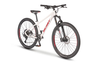 Beany BLASTER 27.5
