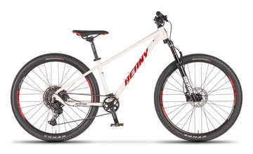Beany BLASTER 27.5