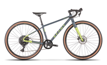 Beany PULSE 700, 17" frame