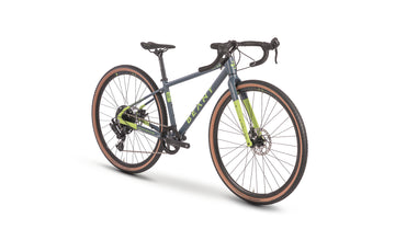 Beany PULSE 700, 17" frame