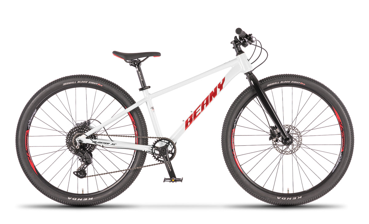 Beany BLASTER XC 27.5, 13,5" Frame
