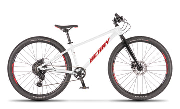 Beany BLASTER XC 27.5, 13,5" Frame