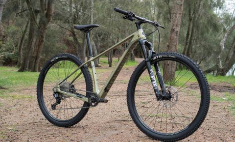 Polygon Syncline C5 - Simple Bike Store