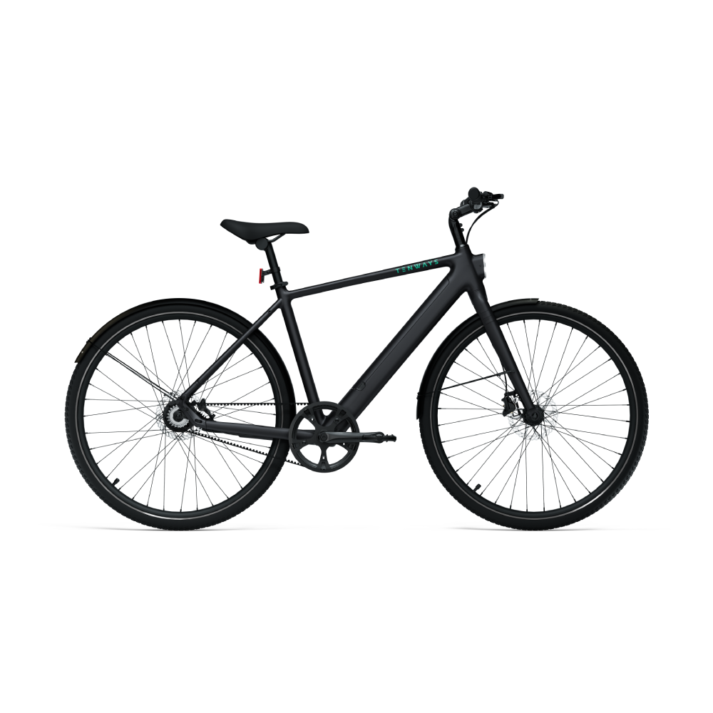 Tenways CGO600 PRO - Simple Bike Store