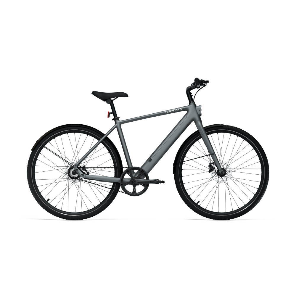 Tenways CGO600 PRO - Simple Bike Store