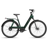 Tenways AGOT - Simple Bike Store