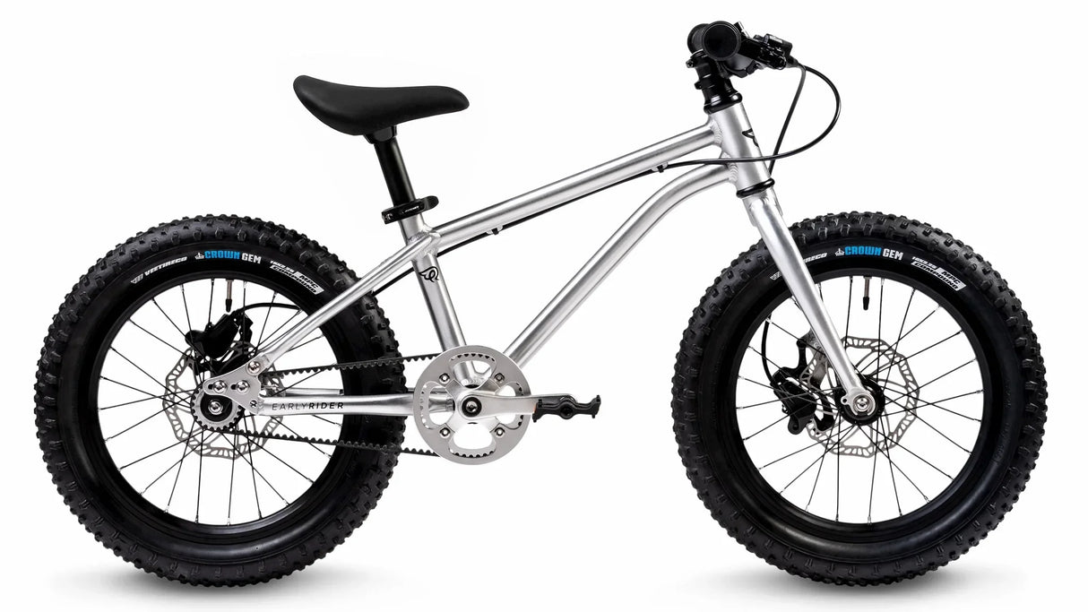 Early Rider Seeker X 16 - Simple Bike Store
