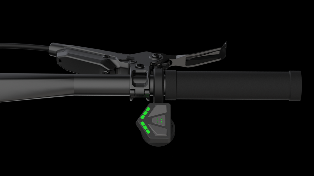 Zehus Controller for E-bike