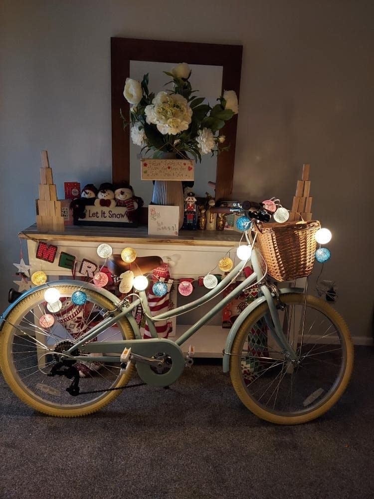 Bobbin Bikes Gingersnap 24" - Simple Bike Store