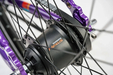 Academy Grade 5 Belt 7-Speed - Simple Bike Store