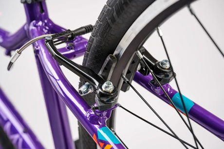 Academy Grade 5 Belt 7-Speed - Simple Bike Store