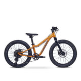 Academy Trail 4