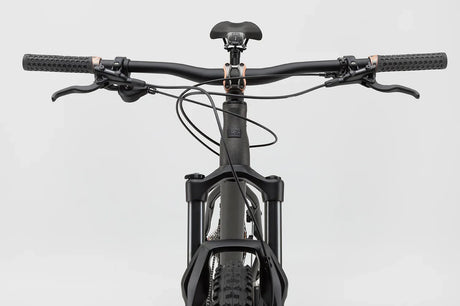 NS Bikes Eccentric Alu 29 - 2025 - Simple Bike Store