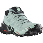 SALOMON Speedcross 6 GTX W light green/black shoes