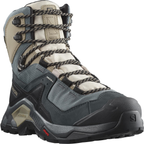 SALOMON Quest Element GTX W light blue/grey/brown shoes