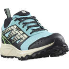 SALOMON Wander GTX W blue/green/black shoes