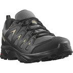 SALOMON X Braze GTX magnet/black/gray green shoes