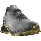 SALOMON Supercross 4 GTX grey/brown shoes