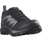SALOMON Wander GTX black/grey shoes