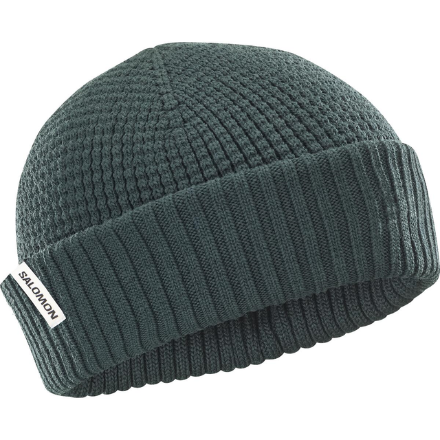 salomon-cepure-docker-beanie-dark-green
