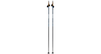 SWIX Dynamic D2 black/blue cross-country ski poles